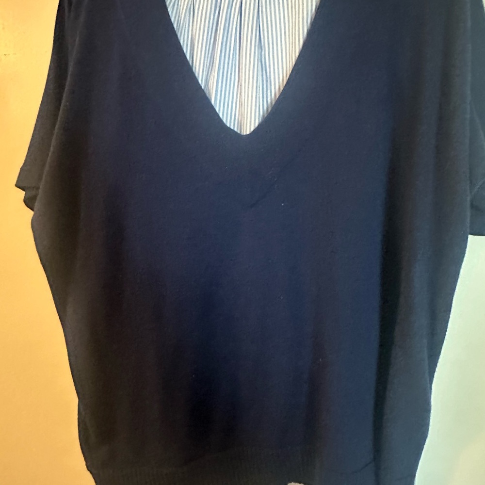 Navy Vineyard Vine V neck sweater